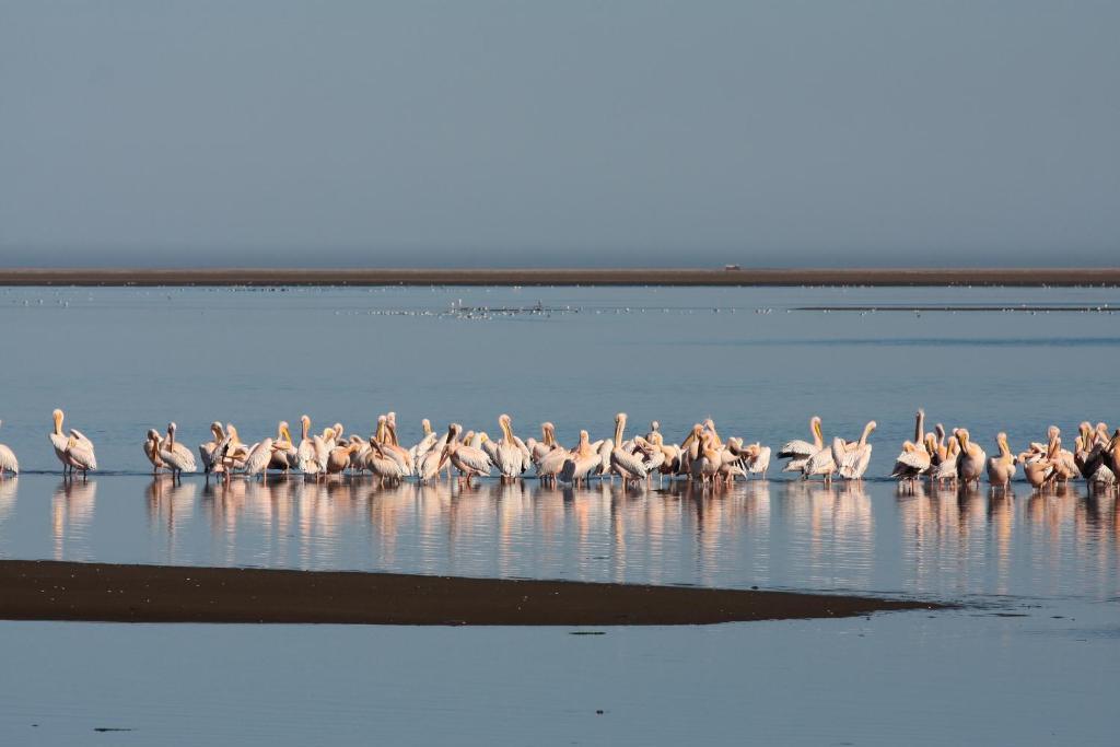 Lagoon Lodge Walvis Bay Exterior photo